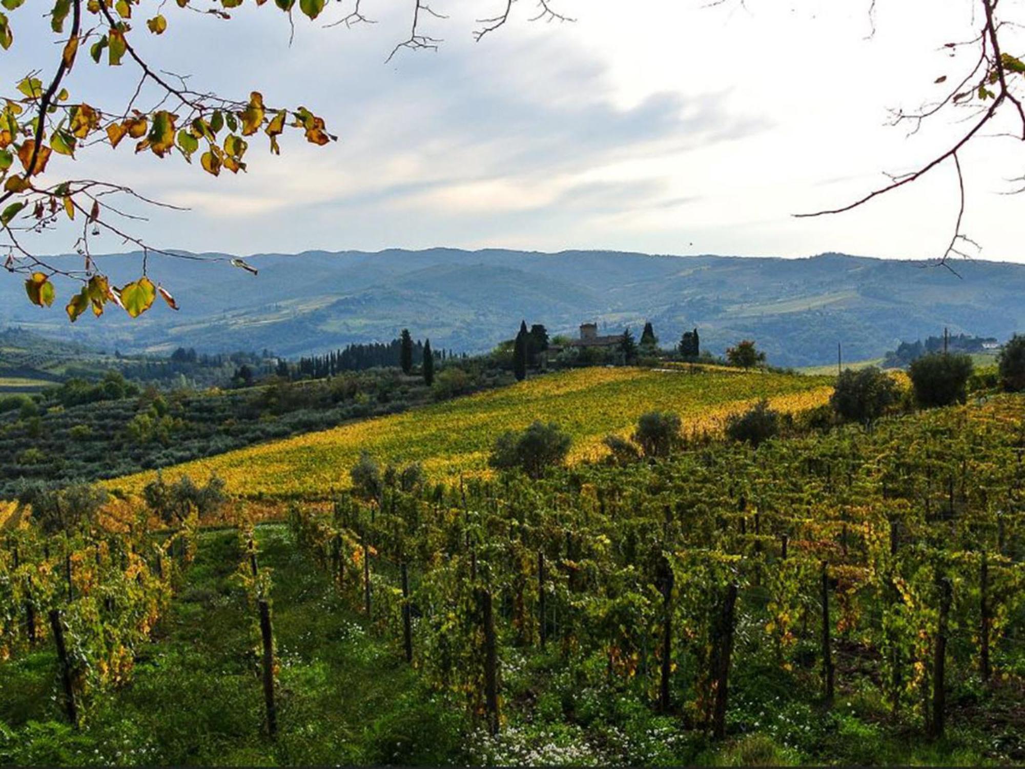 Holiday Home La Torre By Interhome Lucolena in Chianti Экстерьер фото